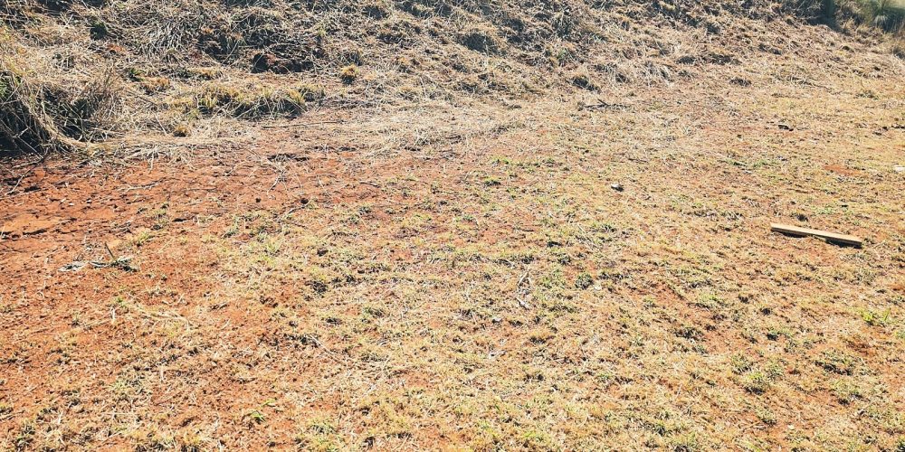 Capa Site