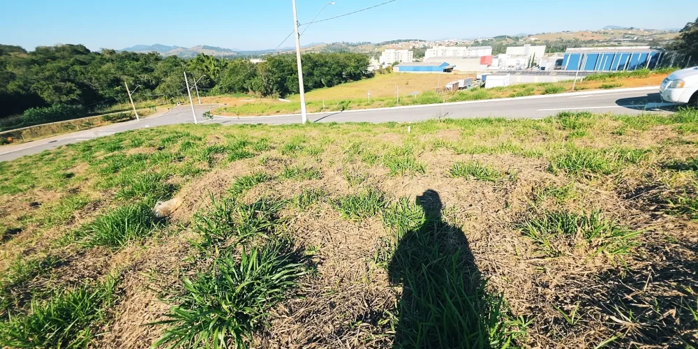 DJI_20260709_150234_58